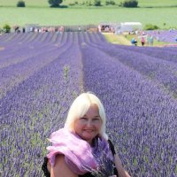 лавандовое настроение :: Светлана Баталий