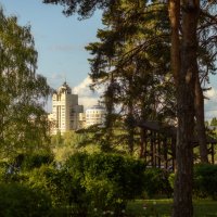 Прогулка по весеннему парку :: Валерий VRN