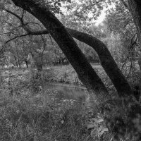 ***** :: юрий поляков