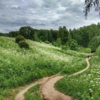 июньское цветение трав :: Валентина. .