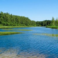 Наше лето (репортаж из поездок по области). :: Милешкин Владимир Алексеевич Наше лето (репортаж из поездок по области). :: Милешкин Владимир Алексеевич