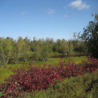 Август :: Anna Ivanova Август :: Anna Ivanova