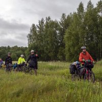 В пойме Нерли :: Сергей Цветков