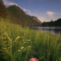 * :: Александр Иванов