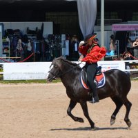 Международная конная выставка "Иппосфера" 2025 :: Николай 