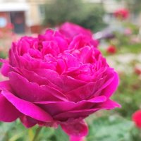 ,,, :: Сергей Тимоновский