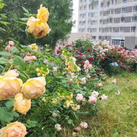 ,,, :: Сергей Тимоновский