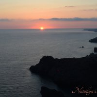 Природа Крыма :: Amazing Cosmea Природа Крыма :: Amazing Cosmea