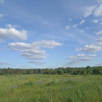 Летний день :: Pippa 