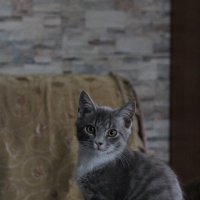 Михушка :: Cергей Кочнев Михушка :: Cергей Кочнев