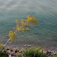 ... :: Анастасия Смирнова