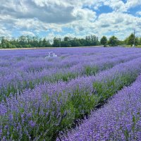 я буду долго гнать велосипед ) :: Сергей Б.