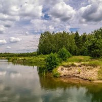 Подмосковный июнь 7 :: Андрей Дворников