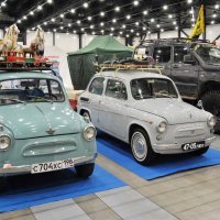 "Горбатый. Я сказал: Горбатый!" :: AleksSPb Лесниченко