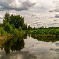 Подмосковный июнь 8 :: Андрей Дворников