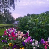 Лето :: Сапсан 