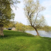 Стрельна. Орловский парк :: Наталья Герасимова