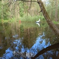 пруд в парке :: Галина R... пруд в парке :: Галина R...