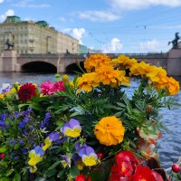 Цветы и видом..) :: tipchik 