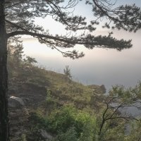 Туманный Енисей :: Марина Фомина.