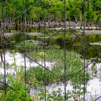 Усадьба , которой восторгалась Екатерина II ,,,, :: Анатолий Колосов