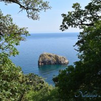 Природа Крыма :: Amazing Cosmea