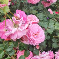 ,,, :: Сергей Тимоновский