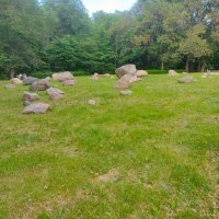 В Петрозаводске. Ландшафтная композиция "Сад камней" в парке "Ямка" :: Ирэн 