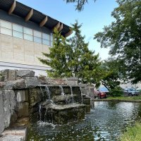 *  *  * :: Елена 