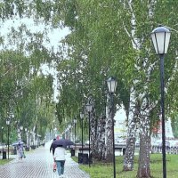 Июнь. :: Венера Чуйкова Июнь. :: Венера Чуйкова