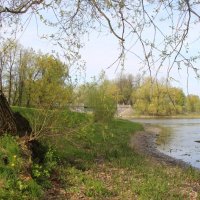 Стрельна. Орловский парк :: Наталья Герасимова