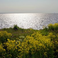 Вечер на форте Риф :: Игорь Корф