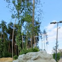 Античная голова» Аристарха Чернышева :: Галина R...