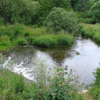 Течёт река Битца,,, :: Анатолий Колосов