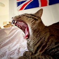 Английский пациент... :: Vladimir Semenchukov