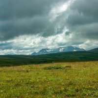 Плато Лаго-Наки :: Игорь Сикорский