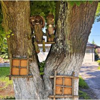 Обитатели дворика. :: Валерия Комова