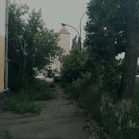 Природа в городе. :: Игорь Солдаткин