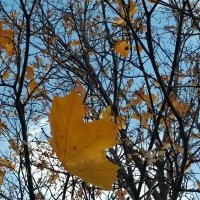 Осень :: Натали 