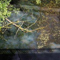 Омут. :: Василий Палий