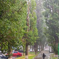 Ливень. :: Сергей Гибков