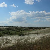 Ковыль. :: Виктор 