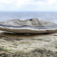 Сало :: Андрей Щетинин