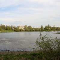 Стрельна. Орловский пруд :: Наталья Герасимова