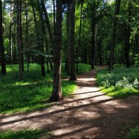 * * * :: Андрей Лукьянов