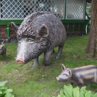 хрюндели :) :: zavitok *