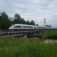 Сапсан в русском пейзаже :: ast62 