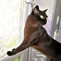 Чего вы боитесь,дождя не будет :: Валентин Семчишин