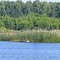 На Торфяном озере. :: Валерия Комова На Торфяном озере. :: Валерия Комова
