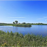 Торфяное озеро. :: Валерия Комова Торфяное озеро. :: Валерия Комова